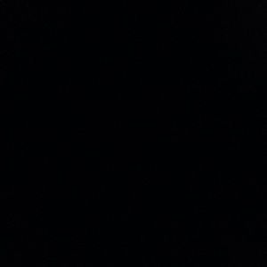 Meet your Posher, Sammy